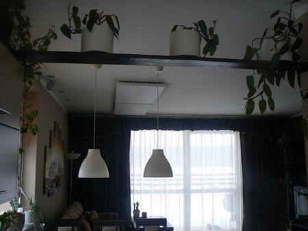 Bukowa Chatka - okolice Wrocławia