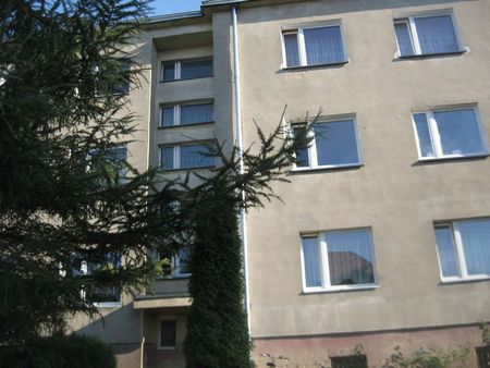 mieszkanie Pszczew (woj. lubuskie)