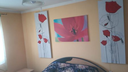 sosnowiec1 obraz grzewczy