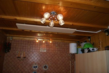 żylichówek